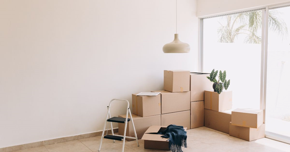 will moving companies move plants